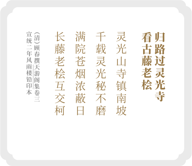 顾太清
